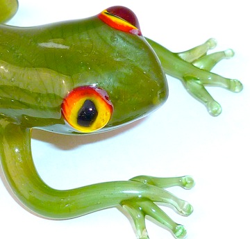 (image for) Frog